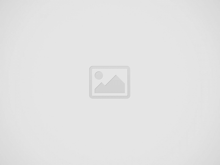 نموذج سيرة ذاتية بالانجليزي – عبقري